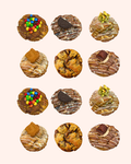 Mixed Cookie Box of 12